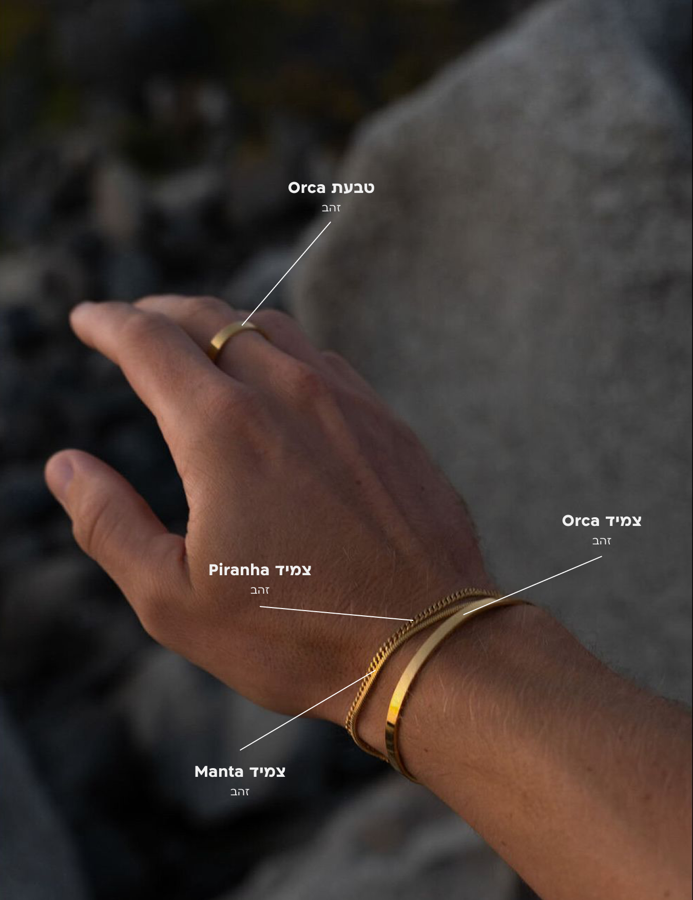 תכשיטי NERO לגבר בגימור זהב: טבעת Orca מינימליסטית משולבת עם צמיד קשיח מדגם Manta וצמידי שרשרת מדגמי Orca ו-Piranha על יד גבר על רקע טבעי.